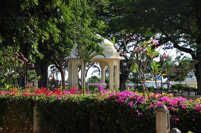 Forodhani Gardens view