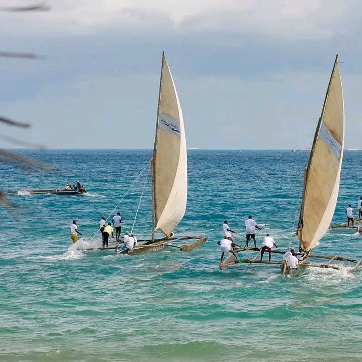 Dhow Race: One of the most anticipated events of the Zanzibar International Film Festival!